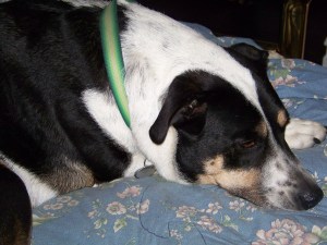 Really, he could care less about Crock-pots.