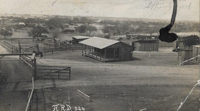 My Grandfather’s Words: Thursday July 11, 1918