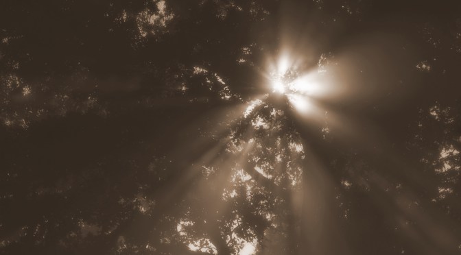 My Grandfather’s Words: Tuesday August 13, 1918