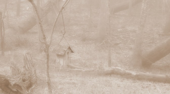 My Grandfather’s Words: Saturday September 21, 1918