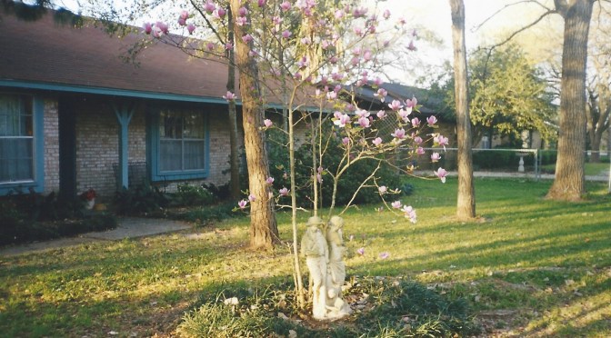 Cooking My Mother’s Recipes #2