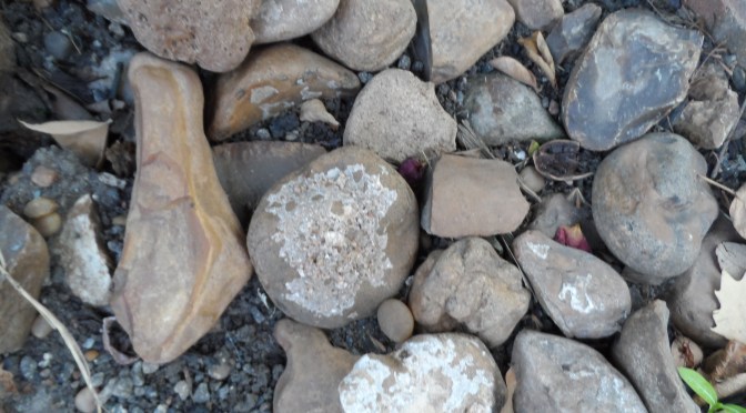 What’s going on (or not).